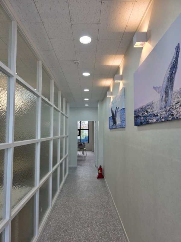 고래영어_공동구매 밴드_사진_20250924_2.jpg