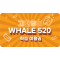 Whale 520 33일 이용권