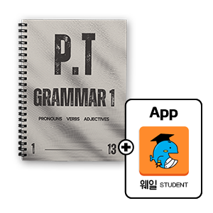 P.T Grammar 1