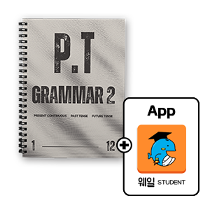 P.T Grammar 2